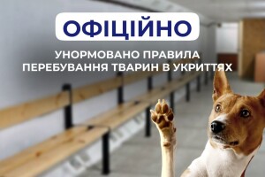 Волиняни під час тривоги зможуть брати тварин в укриття