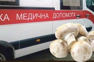 Вбили печерицІ
