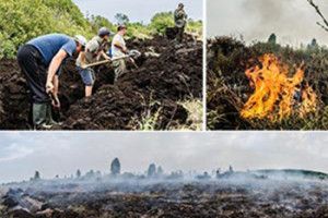 ПАНОВЕ ЧИНОВНИКИ,  ПЕЧЕНУ В ТОРФІ КАРТОПЛЮ ЗАМОВЛЯЛИ?
