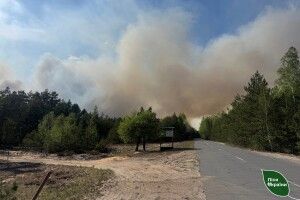На Рівненщині вогонь дійшов до природного заповідника