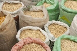 У горохівчанки вкрали два мішки кукурудзи