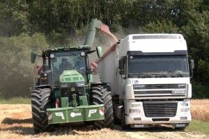 На Волині стартували жнива: у полях працюють понад 3 тисячі комбайнів (Відео)