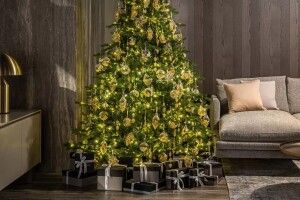 Велика вітальня чи маленька квартира: як підібрати ялинку під простір