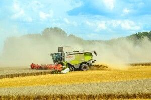 В Україні стартували жнива-2019