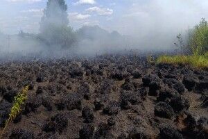 На Волині горіли суха трава, чагарники, очерет та торфовище