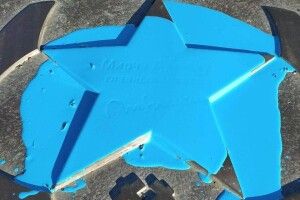 В окупованому Донецьку зірку імені Мірчі Луческу біля «Донбас Арени» залили голубою фарбою (Фото)