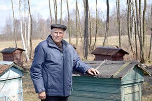 «О, З ДУБА БДЖОЛИ БЕРУТЬ ДОБРУ ВЗЯТКУ!»