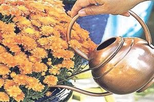 Дріжджі не тільки для пиріжків