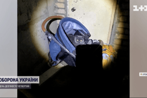 Народжені під вибухи: котяче сімейство вважають оберегом багатоповерхівки в Ірпені