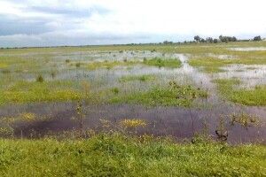 На Волині теж очікують паводок