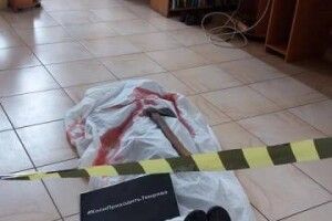 У Рожищенській бібліотеці для дітей виявили... сокиру і закривавлений труп