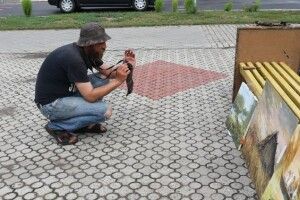 Ожили на полотнах поліські краєвиди