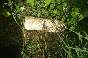 На Волині піротехніки знешкодили 3 боєприпаси часів минулої війни