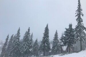 На Закарпатті намело 10 сантиметрів снігу (Фото)