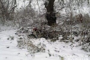 Працювали в парі: на Волині молодики «почистили» кілька будинків