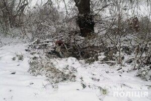 На Волині кінологи допомогли затримати двох злочинців