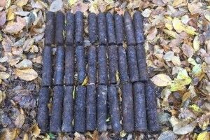 На Рівненщині знайшли 30 боєприпасів