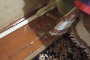 На Волині вночі будинок священника залили гноївкою (Фото)