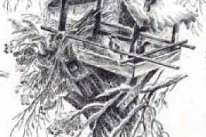 ПОГОДА: лютий тріщить морозом