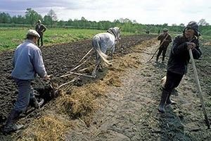 СЕЛО БЕЗ РЕФОРМ — ДЕРЖАВА БЕЗ МАЙБУТНЬОГО