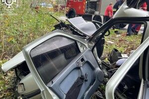 17-річний водій відправив на той світ товариша (Фото)