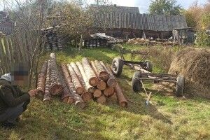 Мешканців Рівненщини судитимуть за дрова