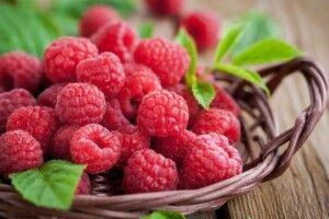 Українські ягідникарі експортували на світові ринки рекордні обсяги малини