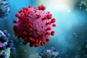 Чи є на Волині штам британського коронавірусу