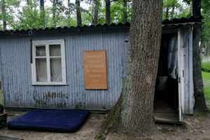 Двоє маленьких дітей провалились у вуличний туалет: старша дівчинка померла, а її брат – в реанімації