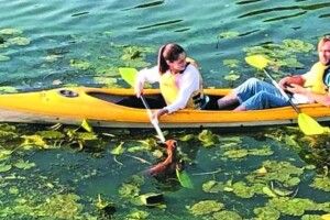 Рудохвосту плавчиню врятували тернопільські байдарочники