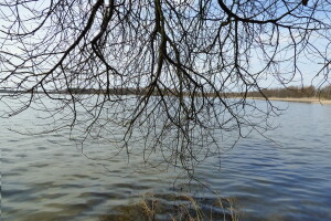 Яке на вигляд і чим цікаве шацьке озеро Чорне (Фото) 