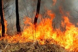 У частині областей оголошено надзвичайний рівень пожежної небезпеки
