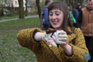 90 врятованих кажанів випустили на волю у Володимирі-Волинському