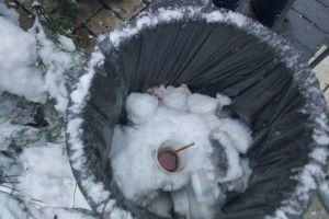 «І сніг у поміч!»: кмітливі рятувальники не дали жодного шансу червоному півню зірвати Об'єднавчий Собор (фото)