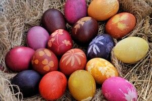 Перед Великоднем на українців чекає «фокус»: курячі яйця стануть «золотими»