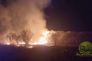 Ті, хто палять сухостій, відтепер є диверсантами – Волинська військова адміністрація