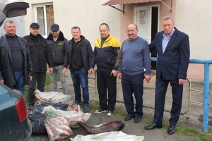 Волинські волонтери передали ЗСУ дві сотні кілограмів риби