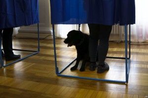 МВС назвало найпоширеніші порушення на дільницях 