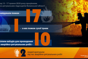За минулий тиждень в області ліквідували 17 пожеж