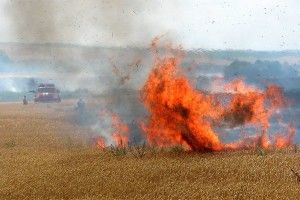 Фахівці ДСНС вживають всіх заходів, аби жнива у країні пройшли без вогняних пригод (Відео)