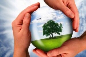 В екологів було професійне свято