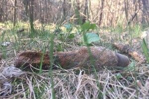 Волинські селяни відкопали на городі боєприпаси