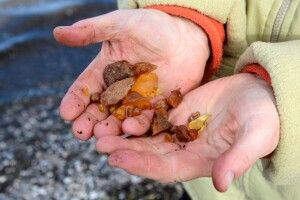 На Поліссі упіймали молодого старателя, який мив бурштин (Фото)