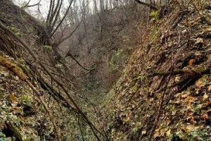 На Рівненщині всю ніч шукали глухонімого хлопця