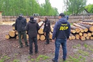 Показали зброю та незаконну деревину, яку вилучили у лісокрадів на Волині (Фото)
