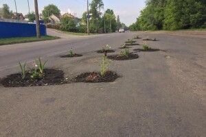 Водіїв у Луцьку сьогодні вітали квітами у ямах на асфальті