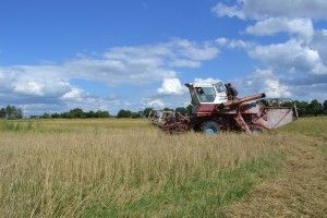 Ранні жнива спричинили стрибок ВВП до 3,8 відсотка