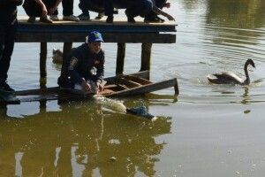 Луцький школяр майструє судноплавні, які рухаються зі швидкістю авто (Відео)