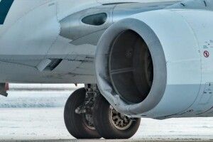 Boeing авіакомпанії Alaska Airlines збив ведмедя