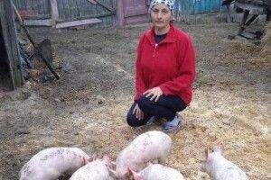 Волинянка покинула вчительство заради домашнього господарства 